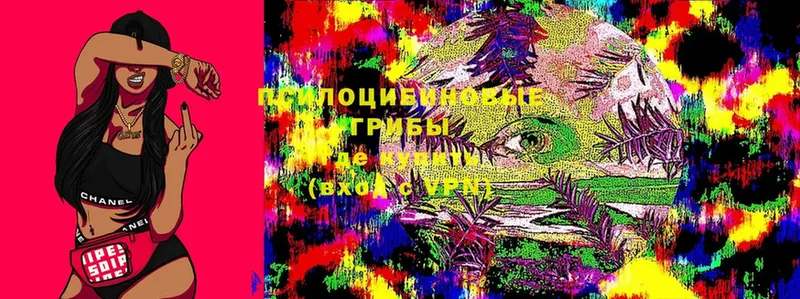 даркнет официальный сайт  Цоци-Юрт  Псилоцибиновые грибы Cubensis  хочу  